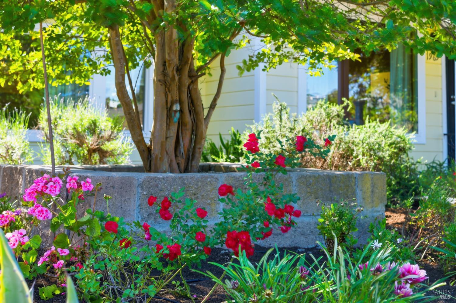 1969 Tuolumne Street Vallejo CA 94589