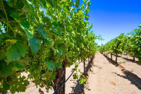 7011 Dry Creek Road Healdsburg CA 95448