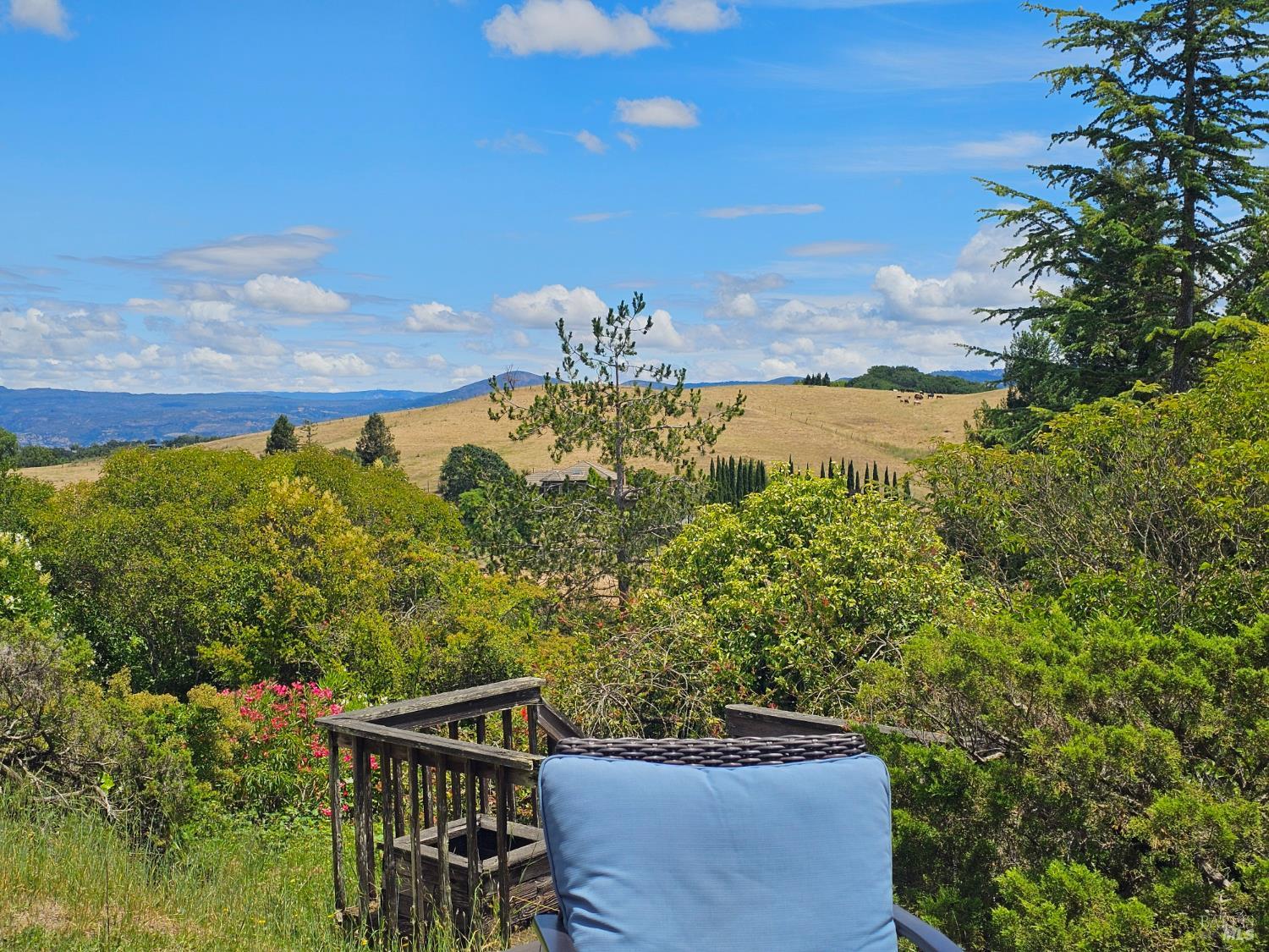 3392 Royal Court Napa CA 94558