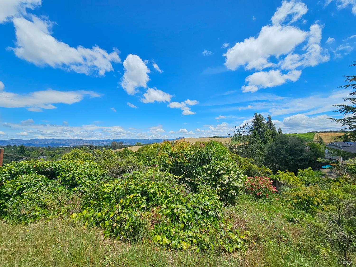 3392 Royal Court Napa CA 94558