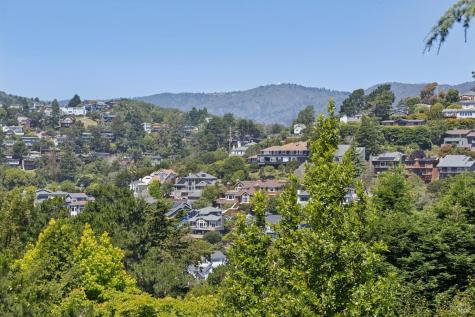 453 Wellesley Avenue Mill Valley CA 94941