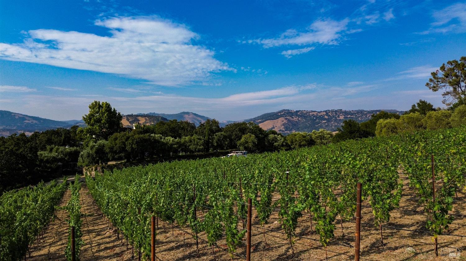 40 Long Ranch Road St. Helena CA 94574