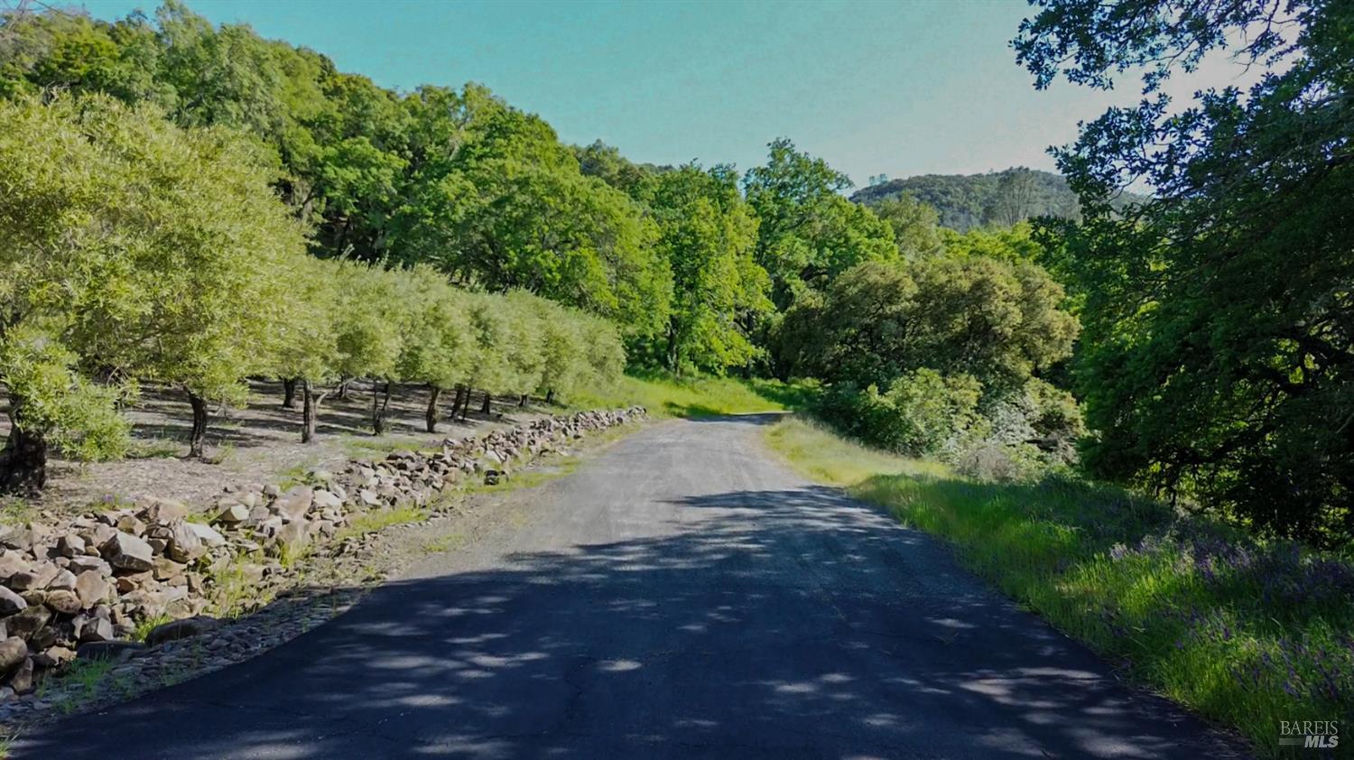 40 Long Ranch Road St. Helena CA 94574