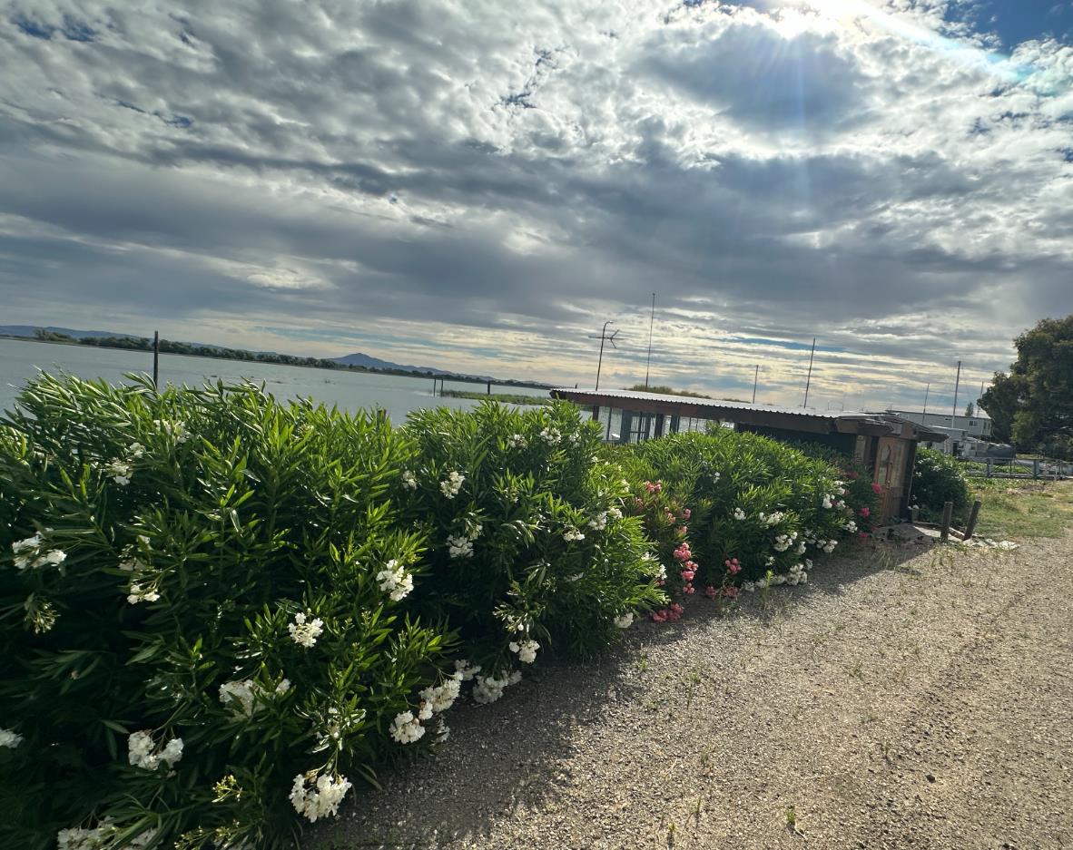 785 W Brannan Island Road Isleton CA 95641