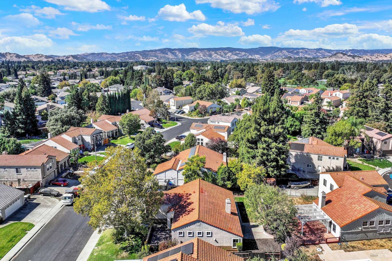 773 Arabian Circle Vacaville CA 95687