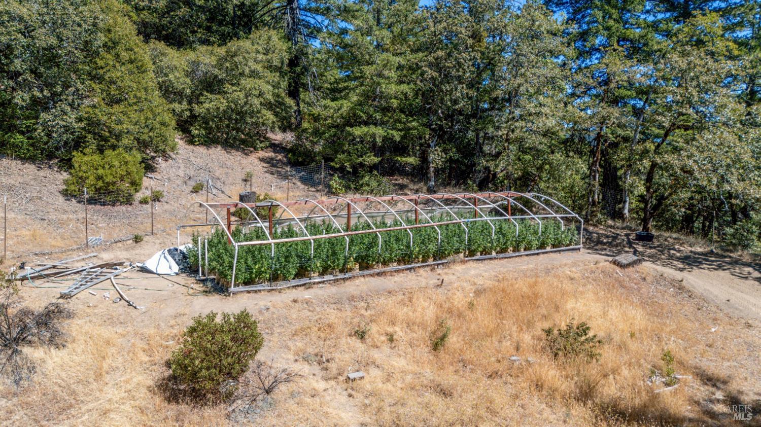 Laytonville CA 95454