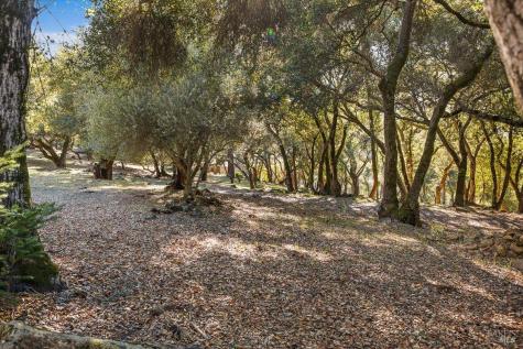7061 Bennett Valley Road Santa Rosa CA 95404
