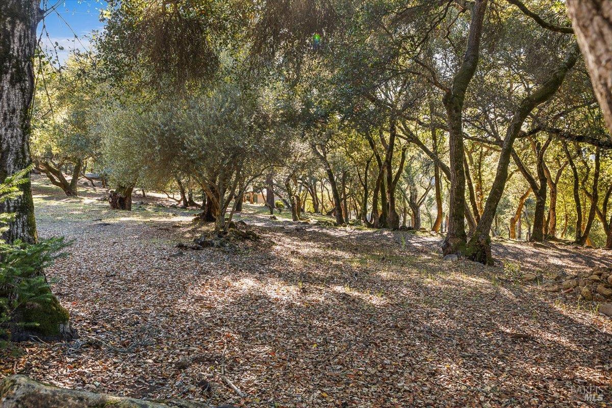 7061 Bennett Valley Road Santa Rosa CA 95404