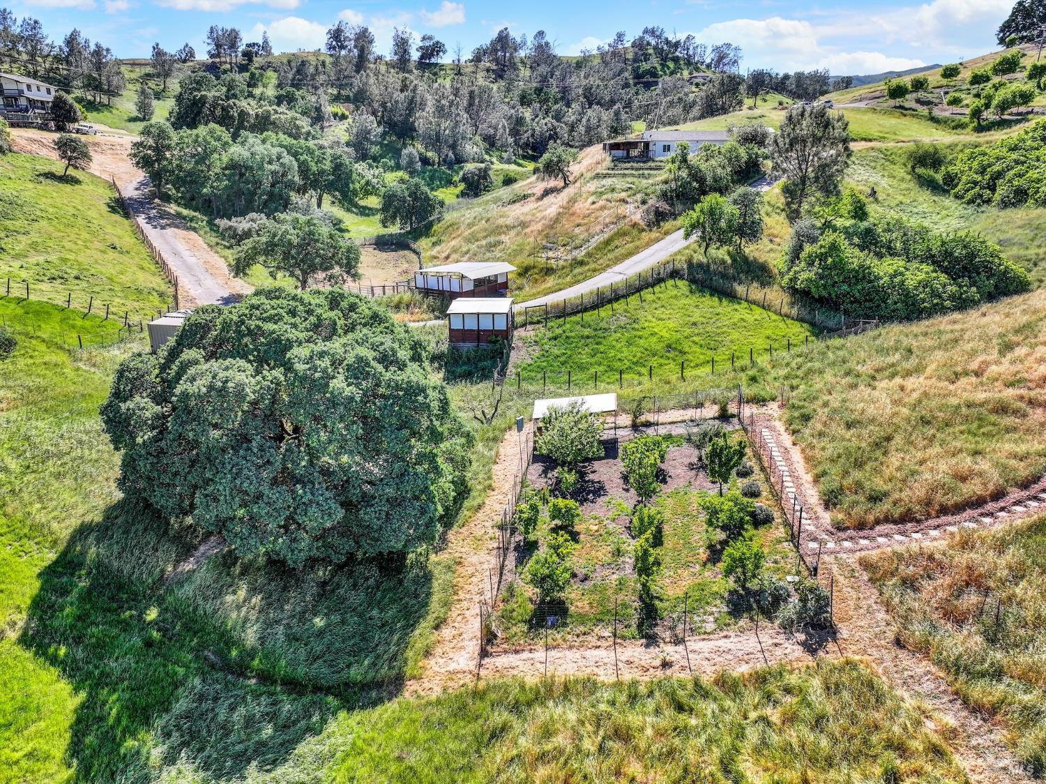 3922 Putah Ridge Trail Winters CA 95694