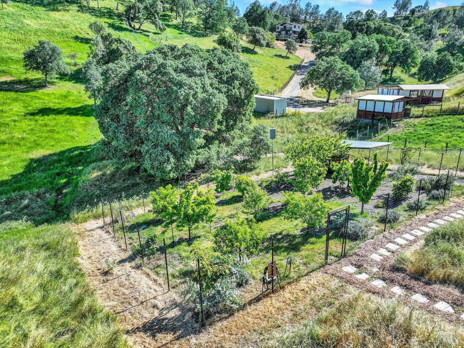 3922 Putah Ridge Trail Winters CA 95694