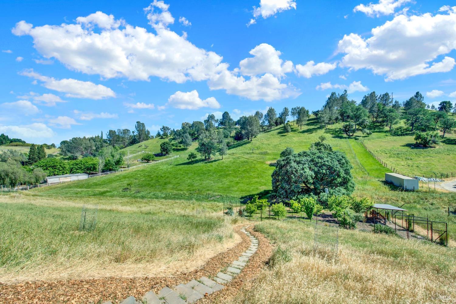 3922 Putah Ridge Trail Winters CA 95694