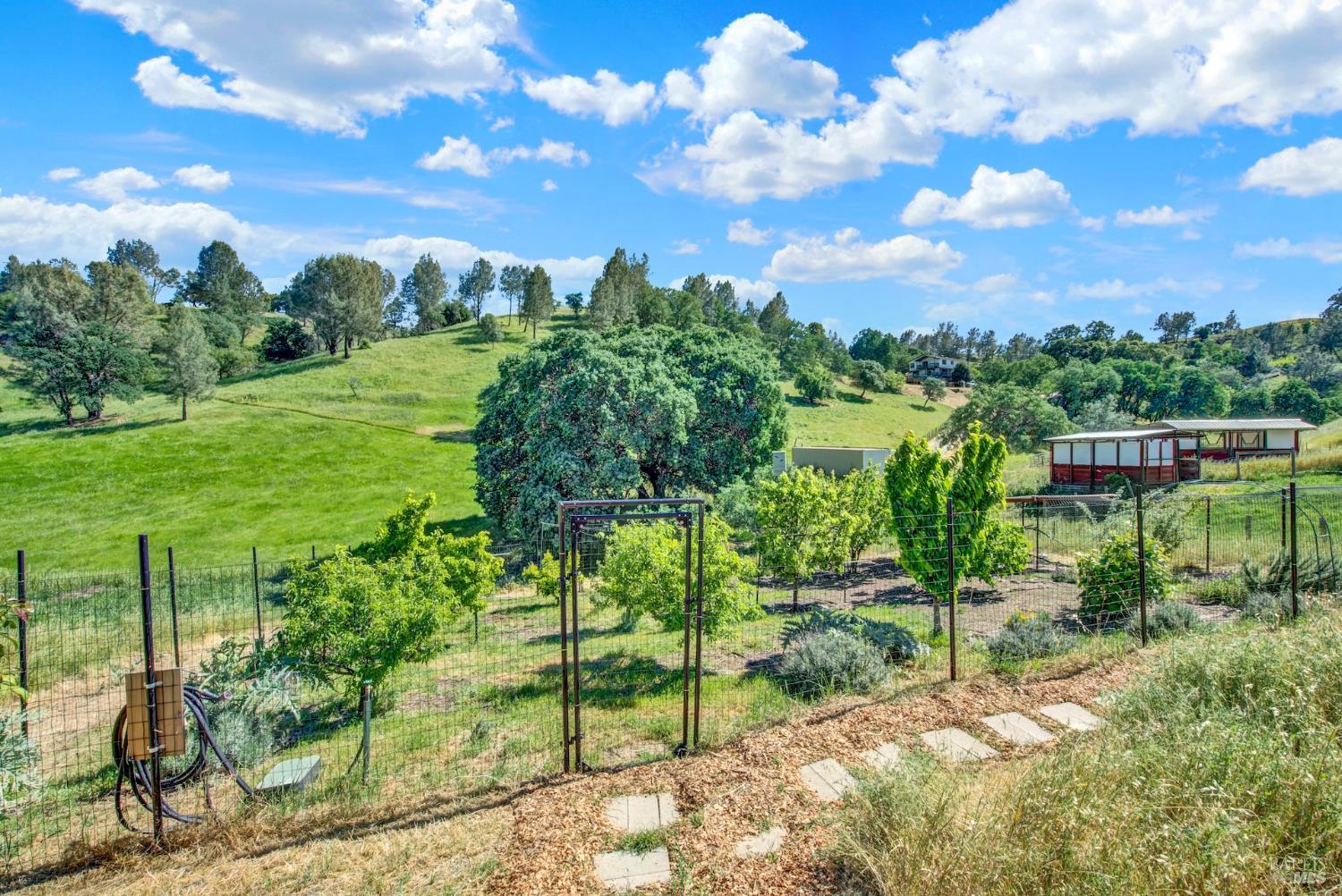 3922 Putah Ridge Trail Winters CA 95694