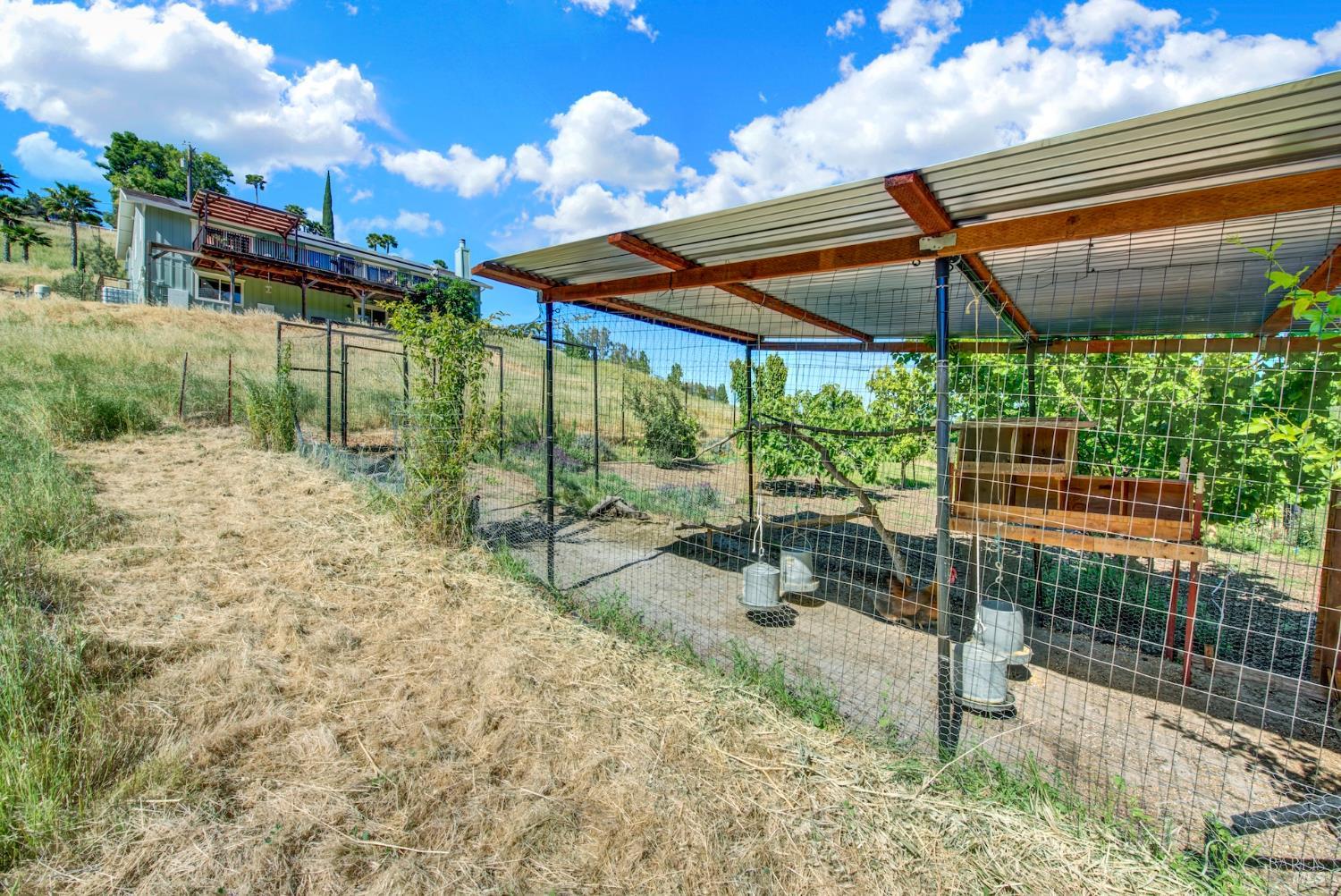 3922 Putah Ridge Trail Winters CA 95694