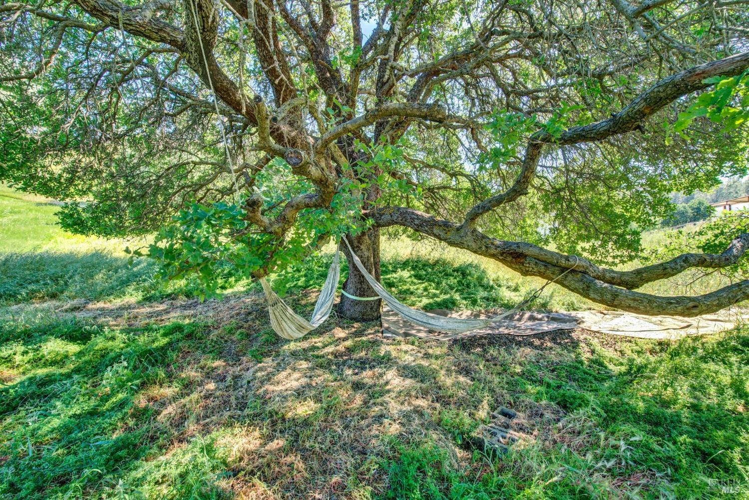 3922 Putah Ridge Trail Winters CA 95694