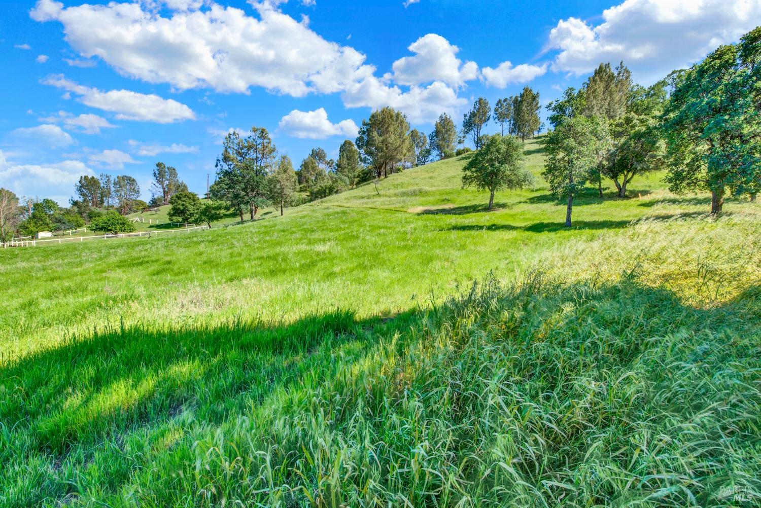 3922 Putah Ridge Trail Winters CA 95694