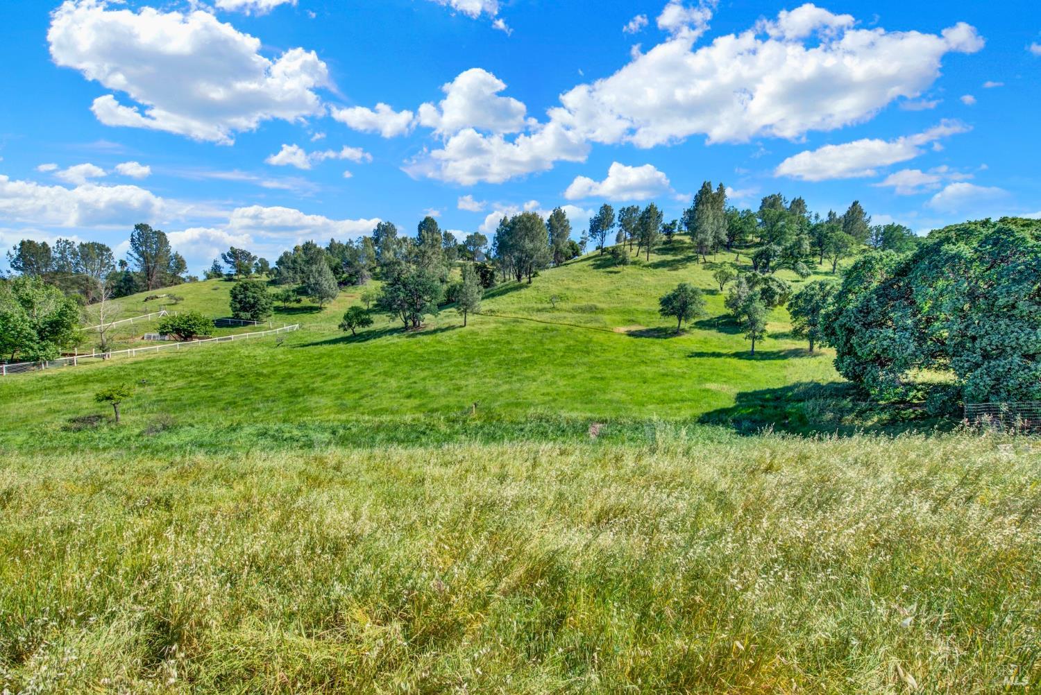 3922 Putah Ridge Trail Winters CA 95694