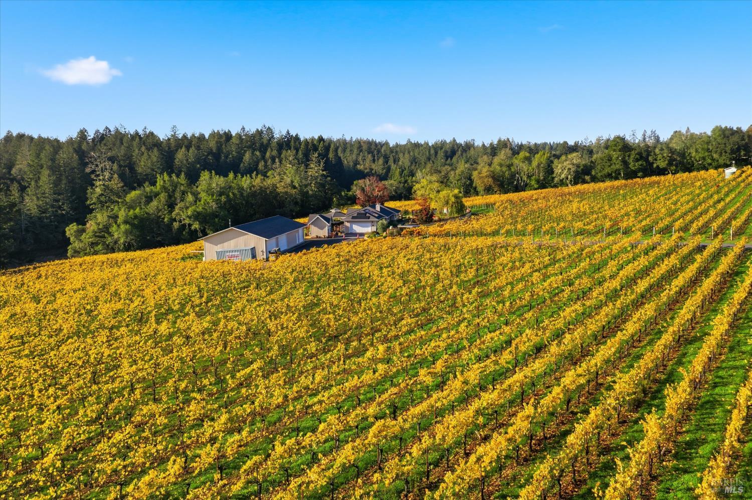 4630 Maddocks Road Sebastopol CA 95472