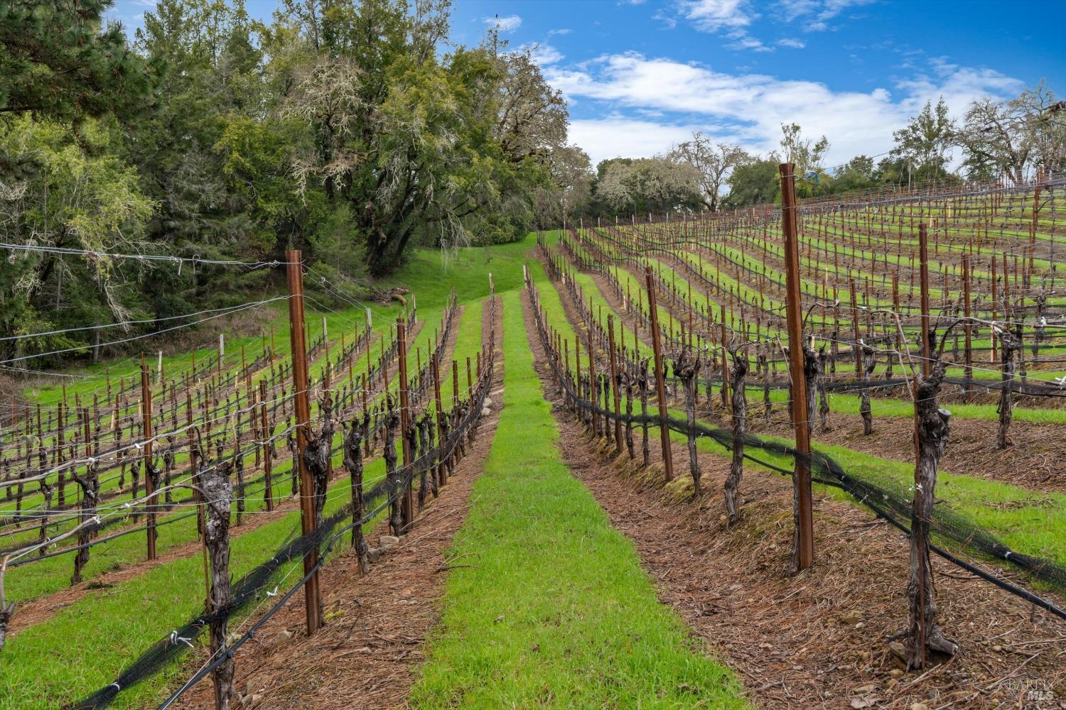 4630 Maddocks Road Sebastopol CA 95472