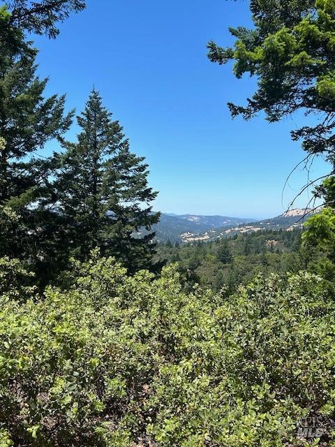 28110-28150 Elkhorn Road Yorkville CA 95494
