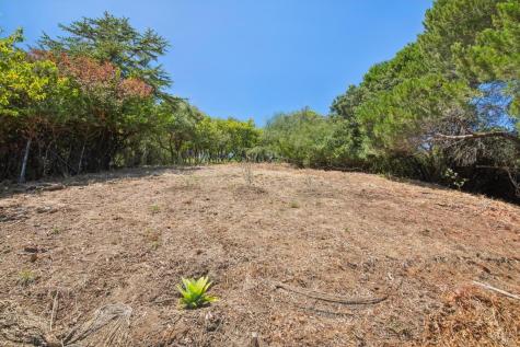 106 Walnut Avenue Corte Madera CA 94925