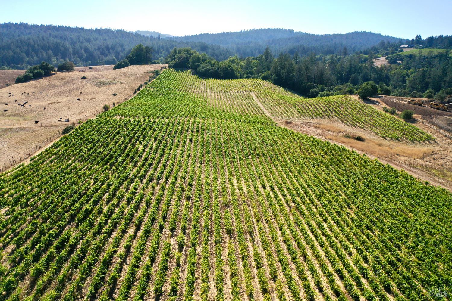 3291 Westside Road Healdsburg CA 95448
