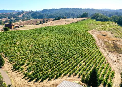 3291 Westside Road Healdsburg CA 95448