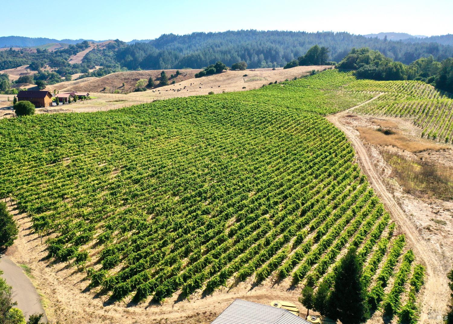 3291 Westside Road Healdsburg CA 95448
