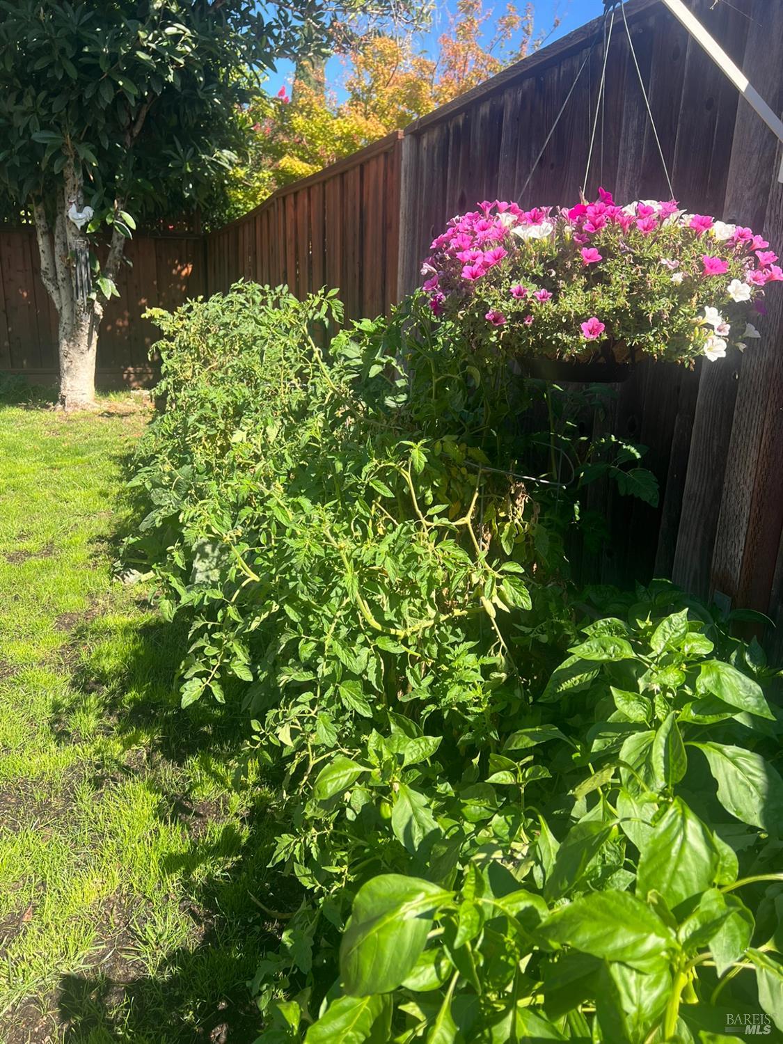 4450 Dumas Street Napa CA 94558