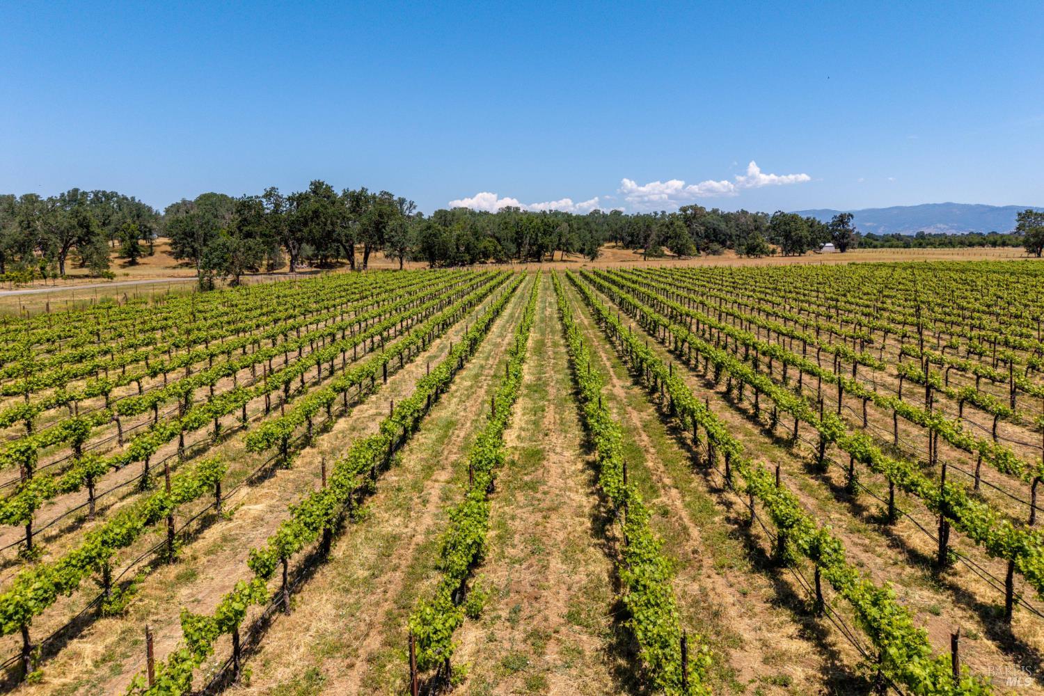 5615 Highland Springs Road Lakeport CA 95453