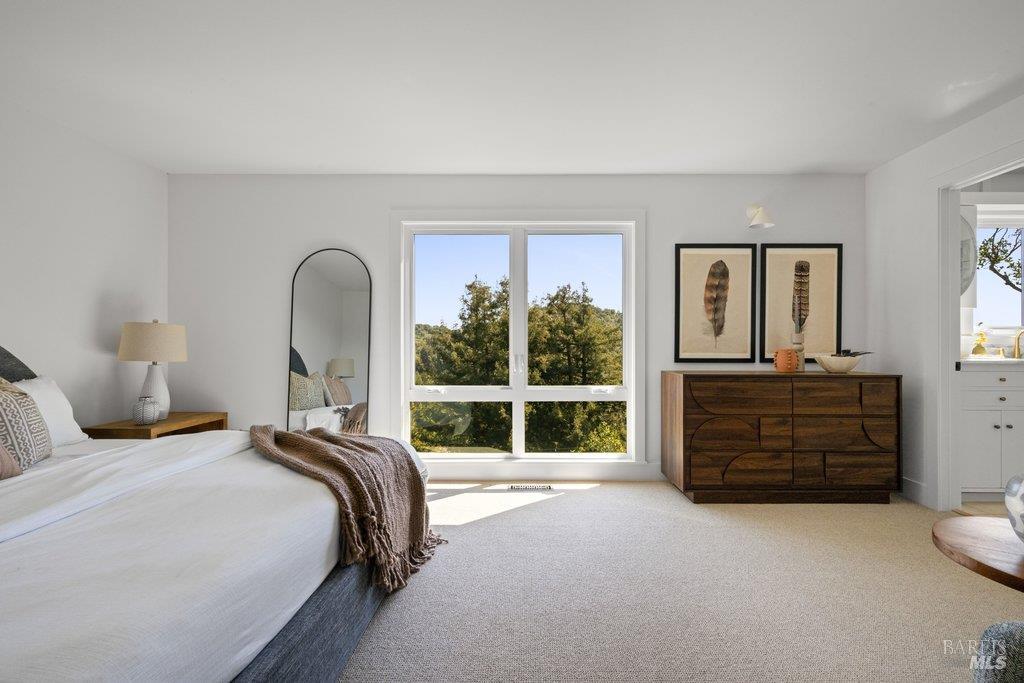 191 Elinor Avenue Mill Valley CA 94941