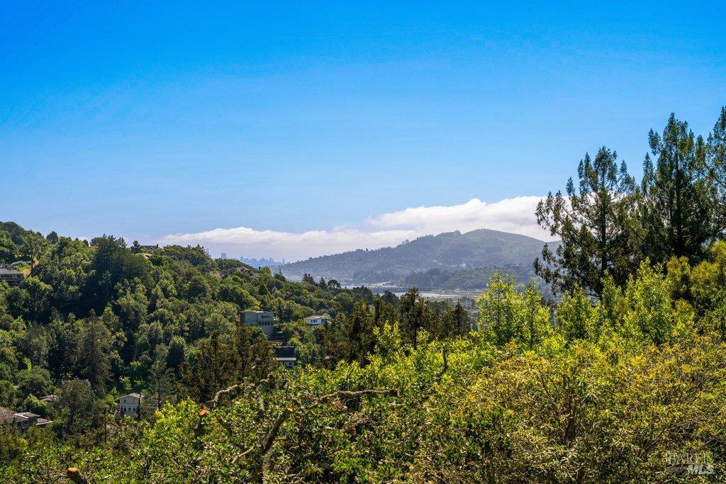 191 Elinor Avenue Mill Valley CA 94941