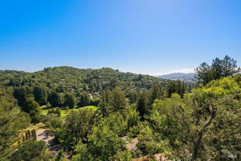 191 Elinor Avenue Mill Valley CA 94941