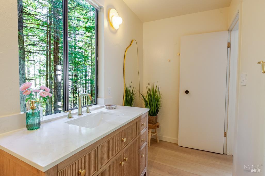 384 Madrone Meadow The Sea Ranch CA 95497