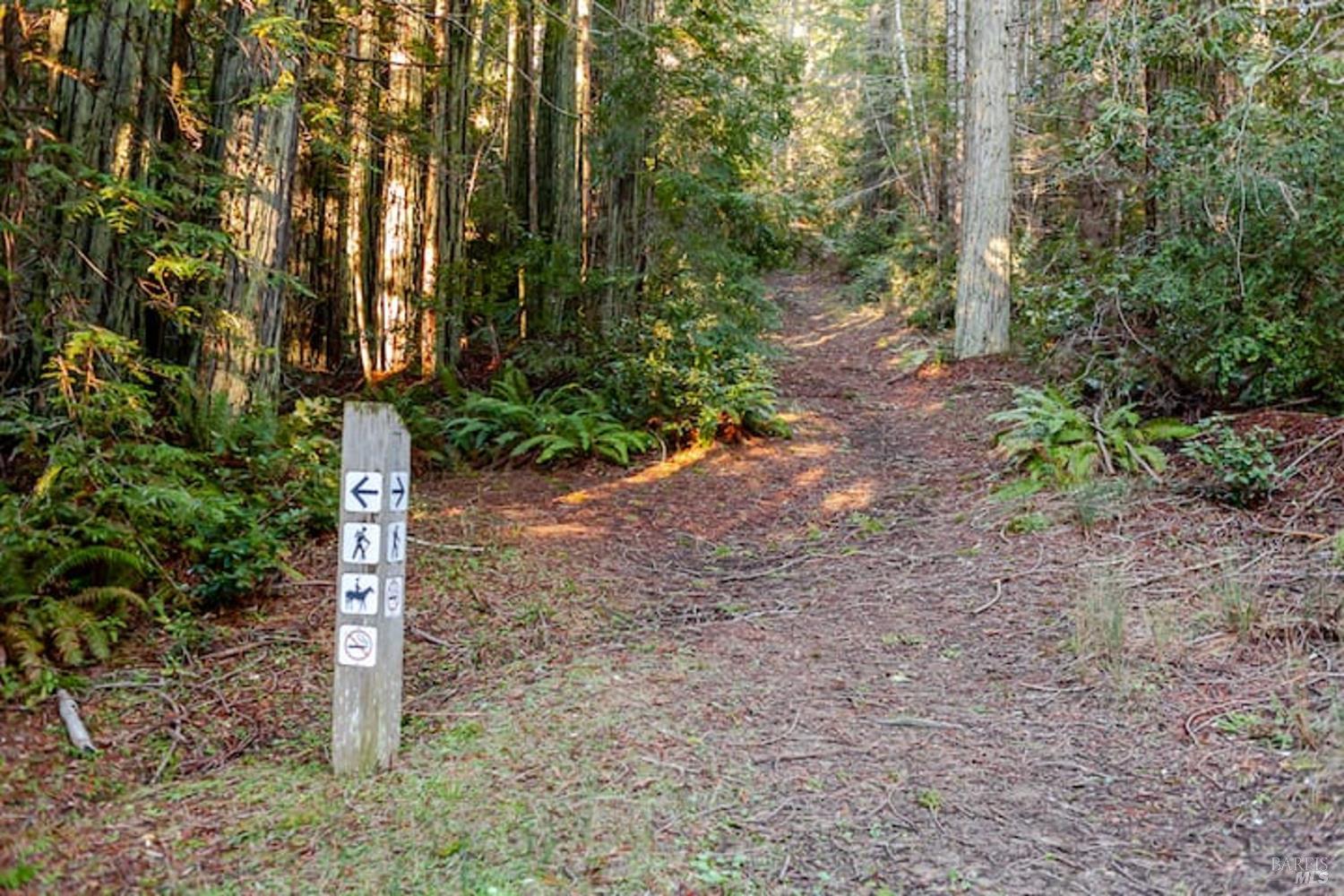 384 Madrone Meadow The Sea Ranch CA 95497