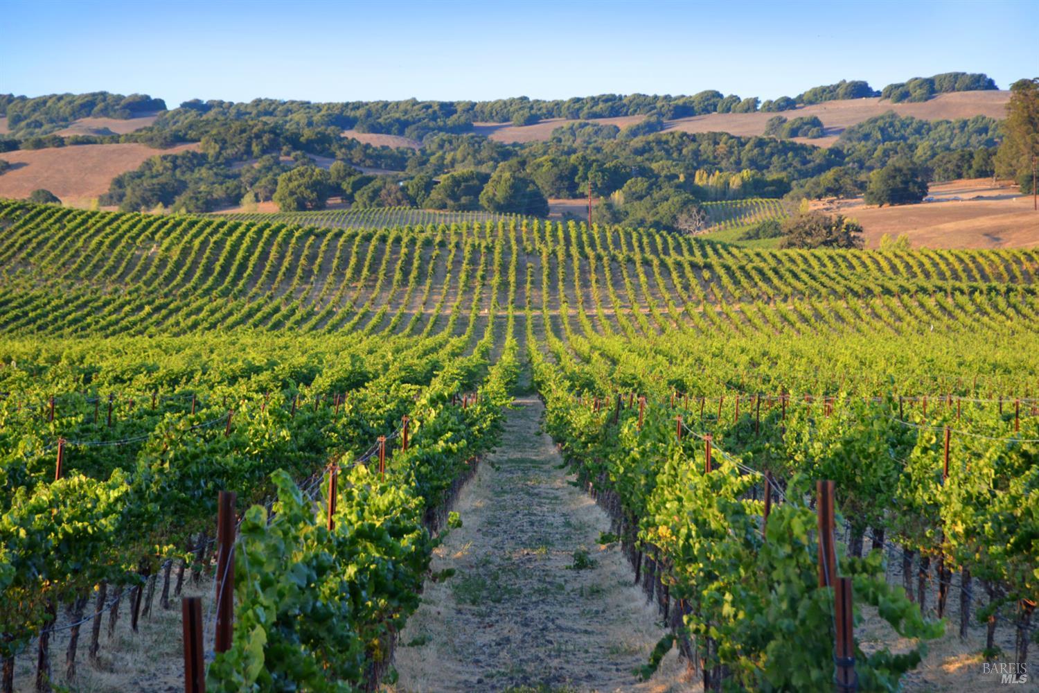 705 5th Street Petaluma CA 94952
