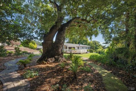 119 Knight Drive San Rafael CA 94901