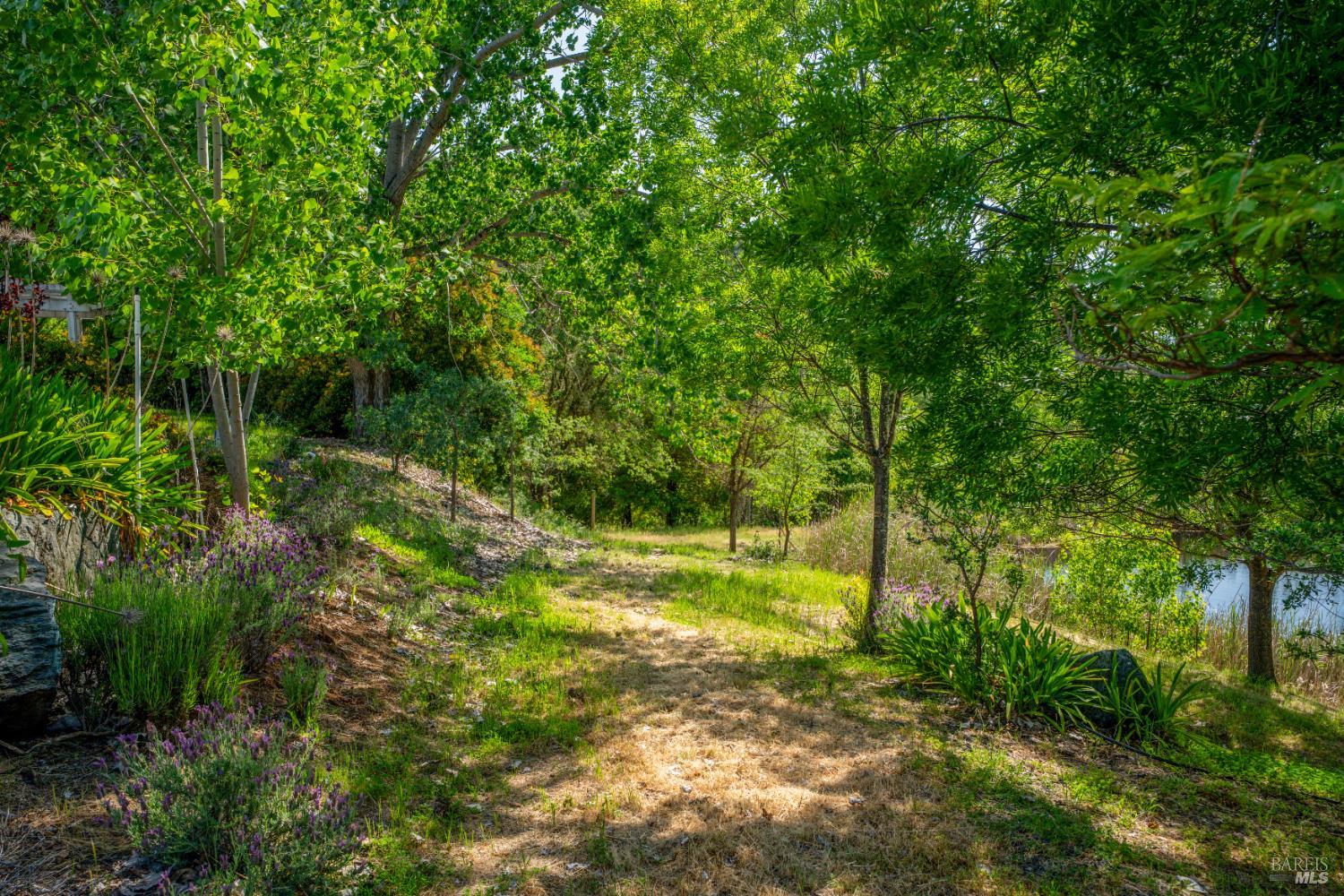 5081 Highway 175 Hopland CA 95449