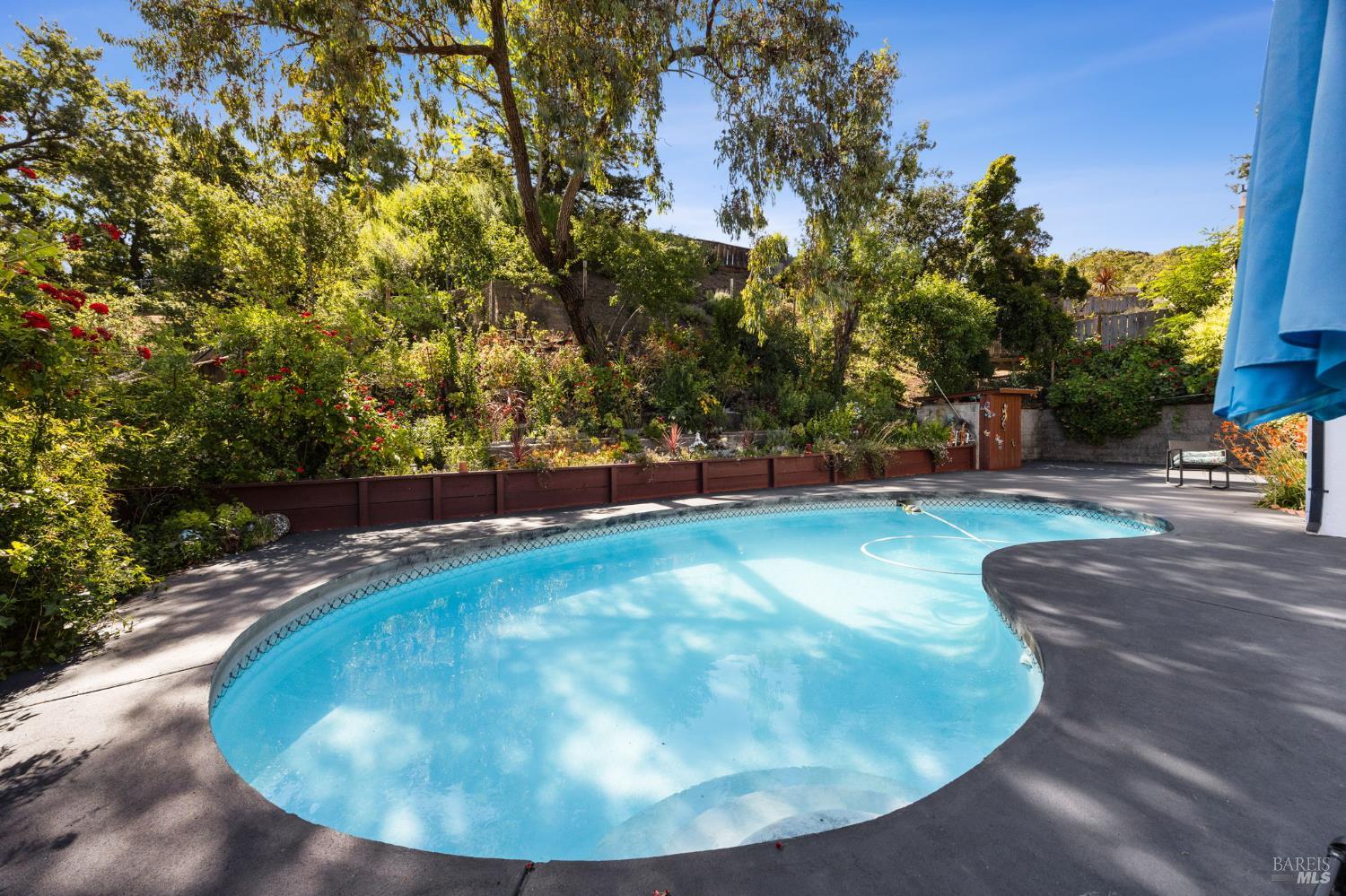 823 Tamarack Drive San Rafael CA 94903