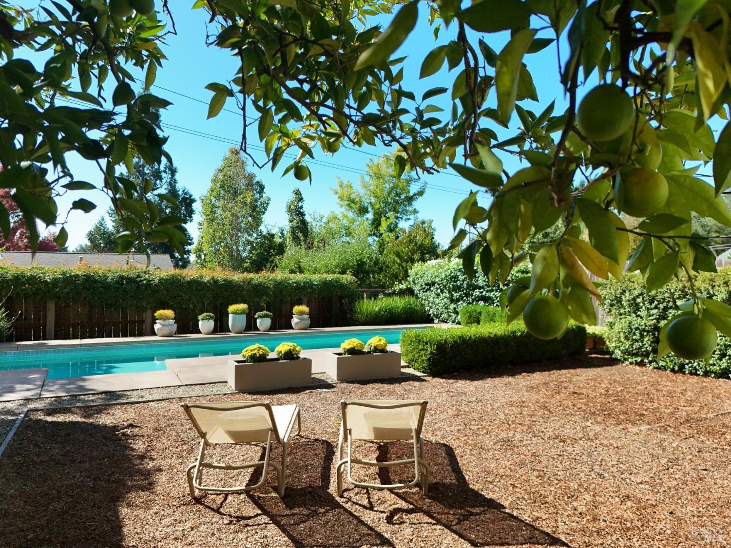 234 Lincoln Street Healdsburg CA 95448