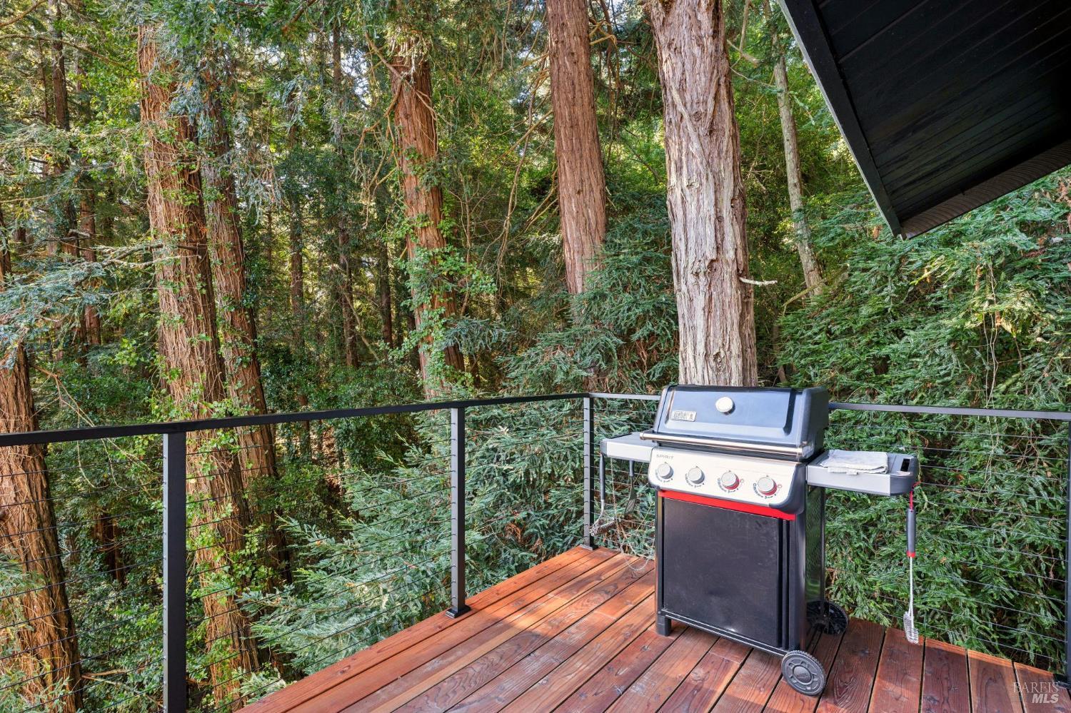 53 Castle Rock Drive Mill Valley CA 94941