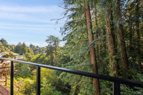 53 Castle Rock Drive Mill Valley CA 94941