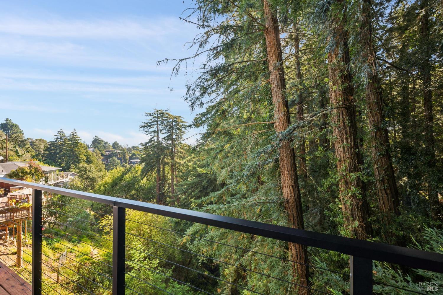 53 Castle Rock Drive Mill Valley CA 94941