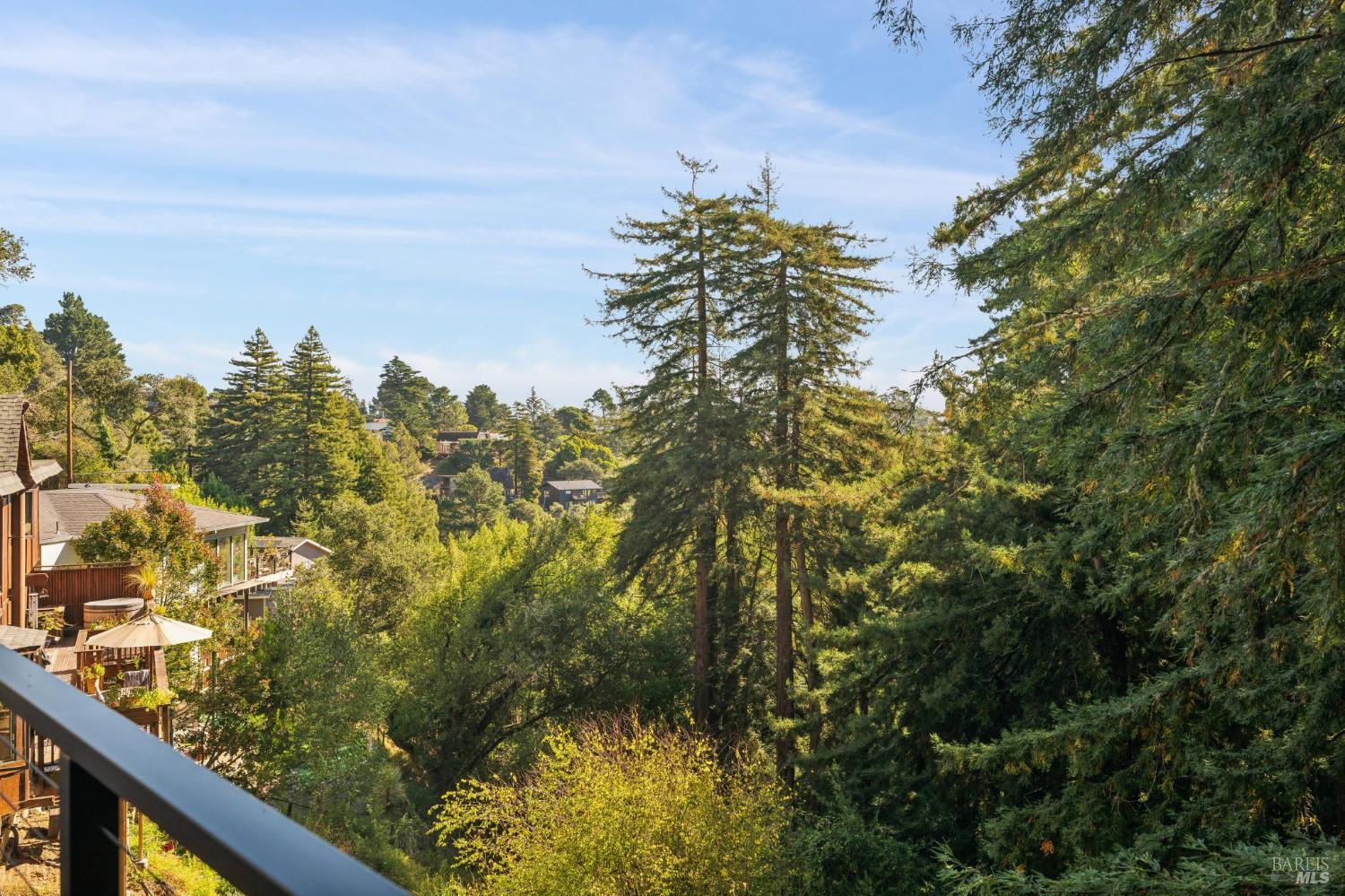 53 Castle Rock Drive Mill Valley CA 94941