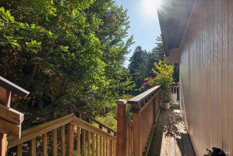 53 Castle Rock Drive Mill Valley CA 94941
