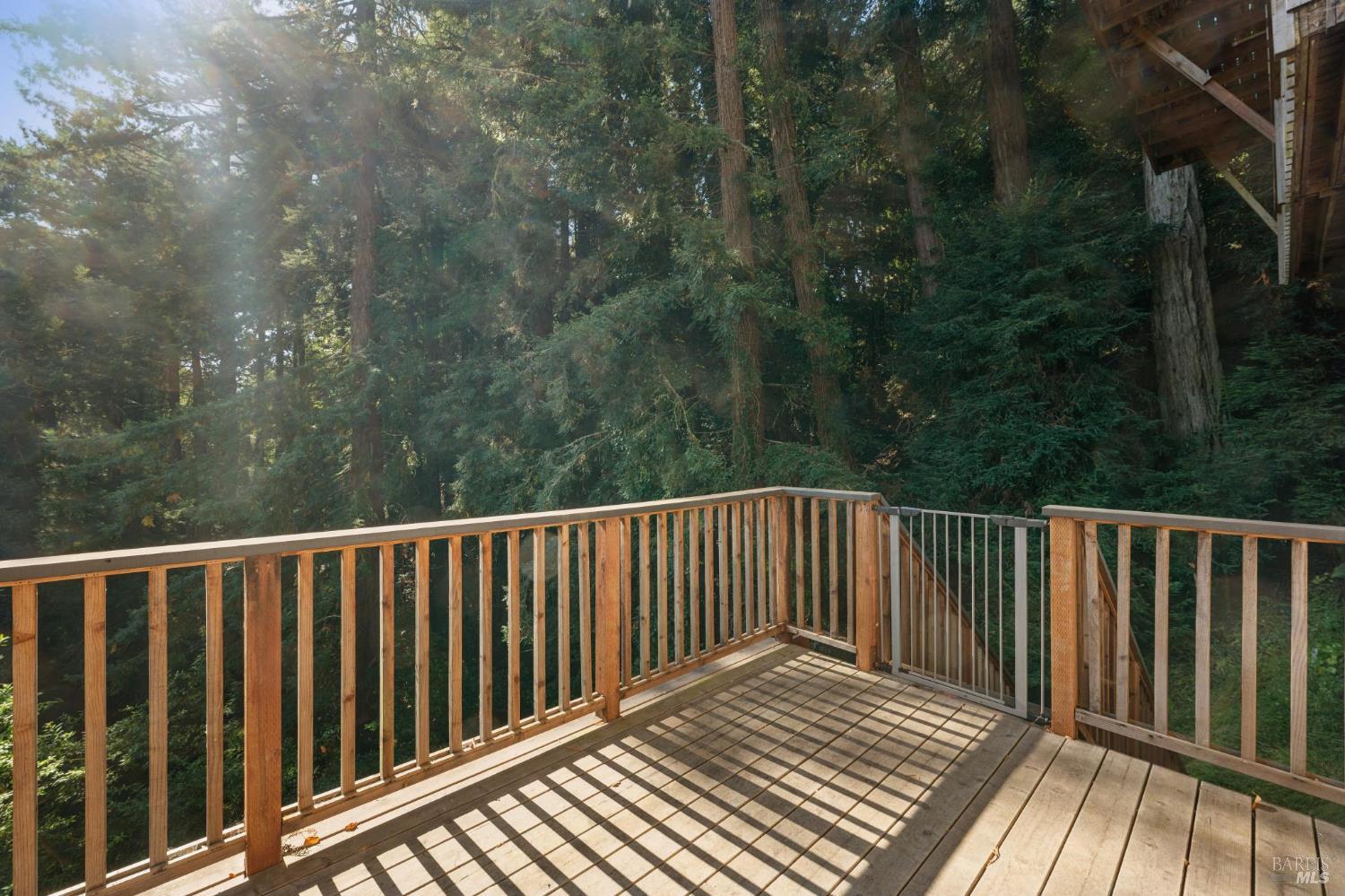 53 Castle Rock Drive Mill Valley CA 94941