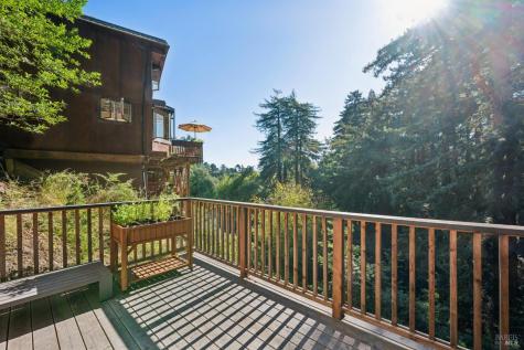 53 Castle Rock Drive Mill Valley CA 94941