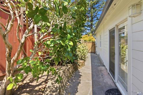 115 Antonette Avenue San Rafael CA 94901