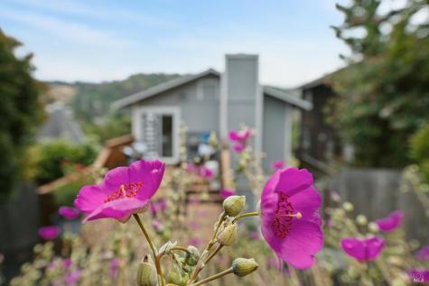 297 Shoreline Highway Mill Valley CA 94941