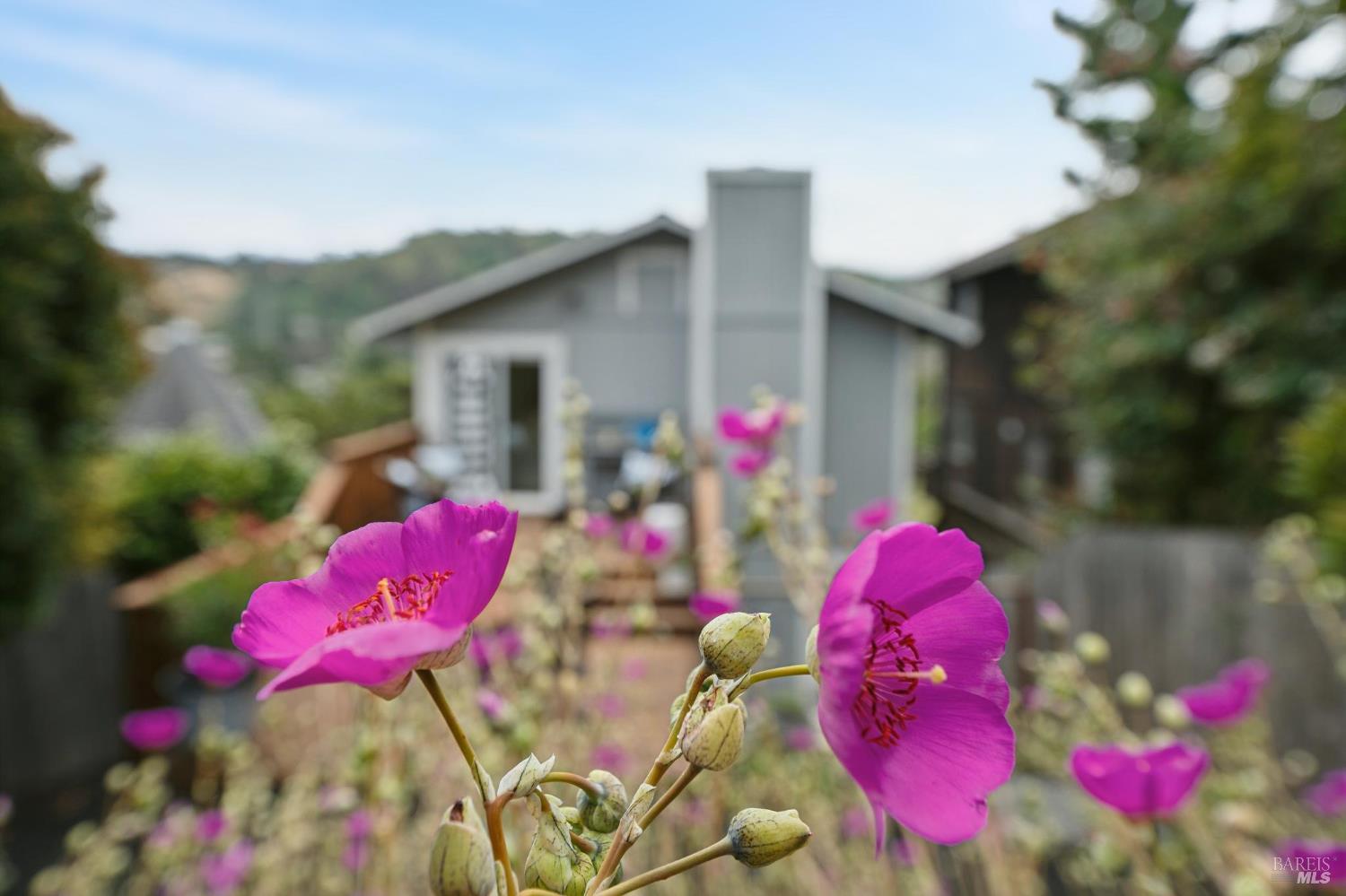 297 Shoreline Highway Mill Valley CA 94941