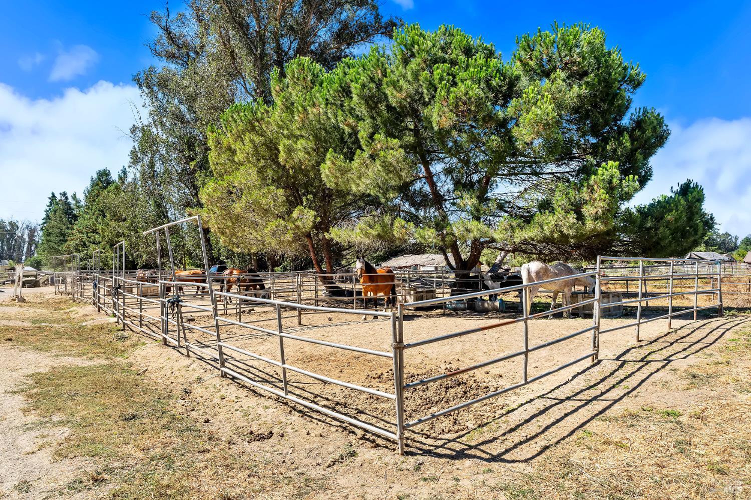 365 E Railroad Avenue Cotati CA 94931